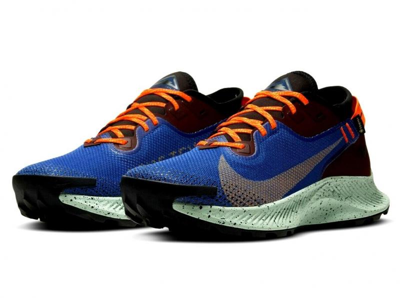Is The Nike Pegasus Trail Gore-Tex The Best Waterproof Running Shoe for Women. : A Deep Dive Into This Trail Running Workhorse