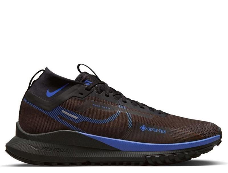 Is The Nike Pegasus Trail Gore-Tex The Best Waterproof Running Shoe for Women. : A Deep Dive Into This Trail Running Workhorse