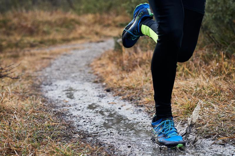 Is The Nike Pegasus Trail Gore-Tex The Best Waterproof Running Shoe for Women. : A Deep Dive Into This Trail Running Workhorse