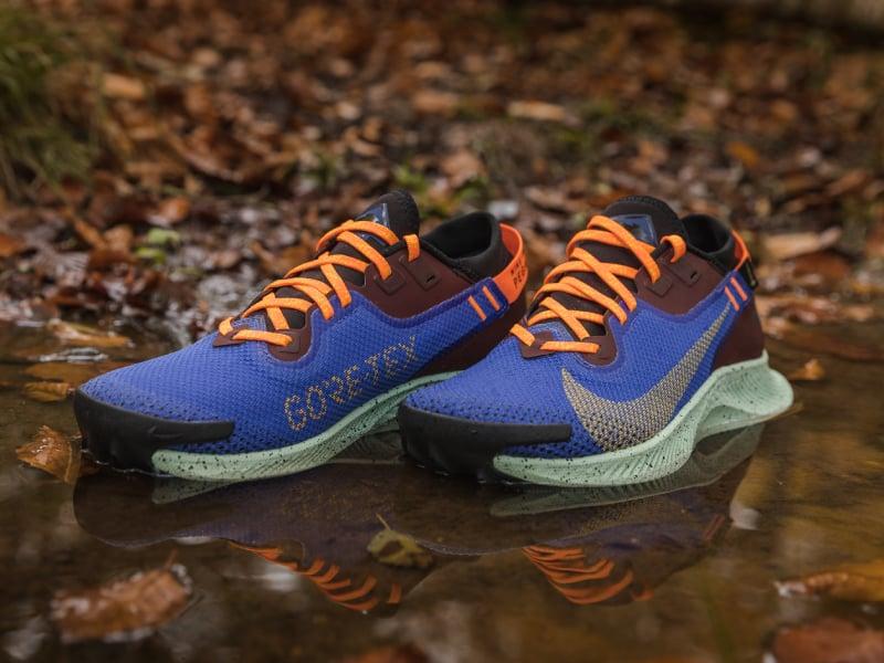 Is The Nike Pegasus Trail Gore-Tex The Best Waterproof Running Shoe for Women. : A Deep Dive Into This Trail Running Workhorse