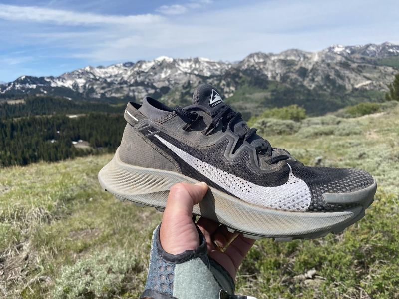 Is The Nike Pegasus Trail Gore-Tex The Best Waterproof Running Shoe for Women. : A Deep Dive Into This Trail Running Workhorse