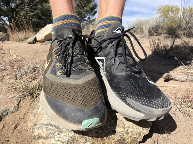 Is The Nike Pegasus Trail Gore-Tex The Best Waterproof Running Shoe for Women. : A Deep Dive Into This Trail Running Workhorse