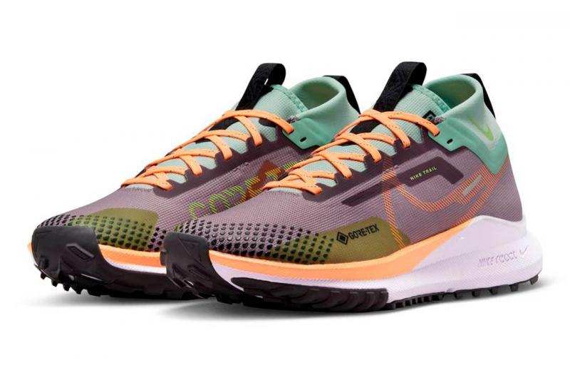 Is The Nike Pegasus Trail Gore-Tex The Best Waterproof Running Shoe for Women. : A Deep Dive Into This Trail Running Workhorse
