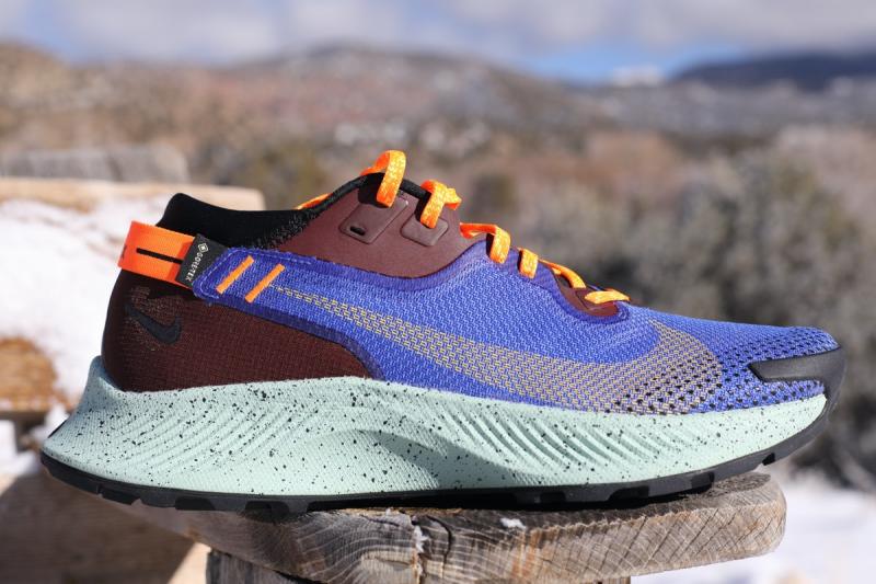 Is The Nike Pegasus Trail Gore-Tex The Best Waterproof Running Shoe for Women. : A Deep Dive Into This Trail Running Workhorse