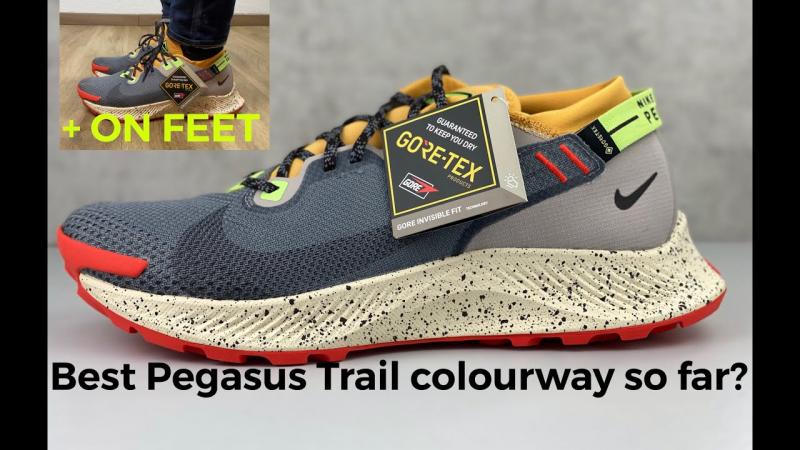Is The Nike Pegasus Trail Gore-Tex The Best Waterproof Running Shoe for Women. : A Deep Dive Into This Trail Running Workhorse