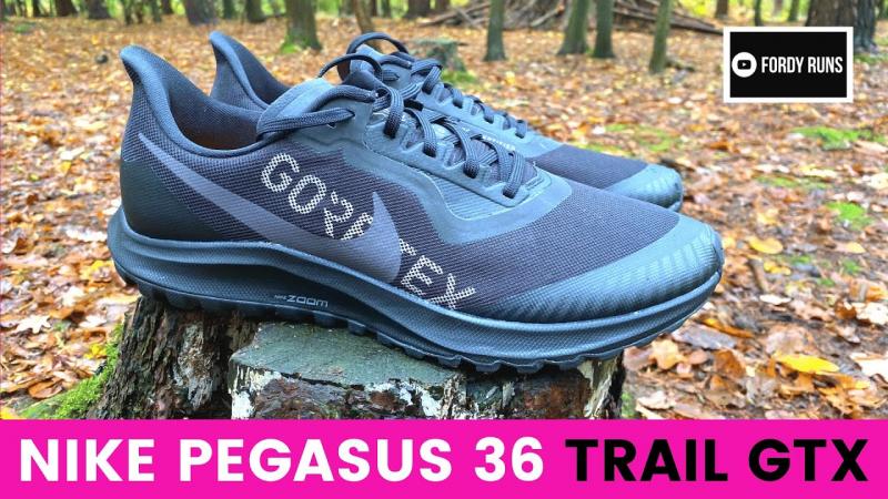 Is The Nike Pegasus Trail Gore-Tex The Best Waterproof Running Shoe for Women. : A Deep Dive Into This Trail Running Workhorse