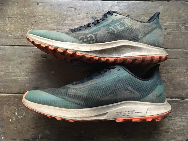 Is The Nike Pegasus Trail Gore-Tex The Best Waterproof Running Shoe for Women. : A Deep Dive Into This Trail Running Workhorse