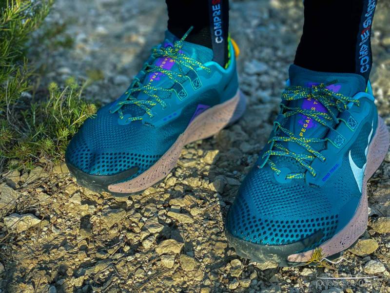 Is The Nike Pegasus Trail Gore-Tex The Best Waterproof Running Shoe for Women. : A Deep Dive Into This Trail Running Workhorse