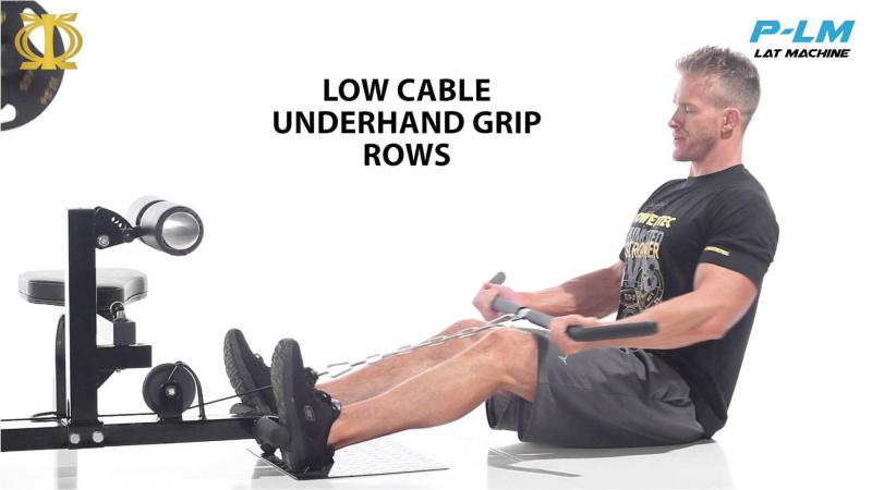 Is the Powertec Workbench Olympic Bench Worth It in 2023