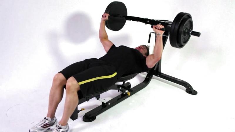 Is the Powertec Workbench Olympic Bench Worth It in 2023