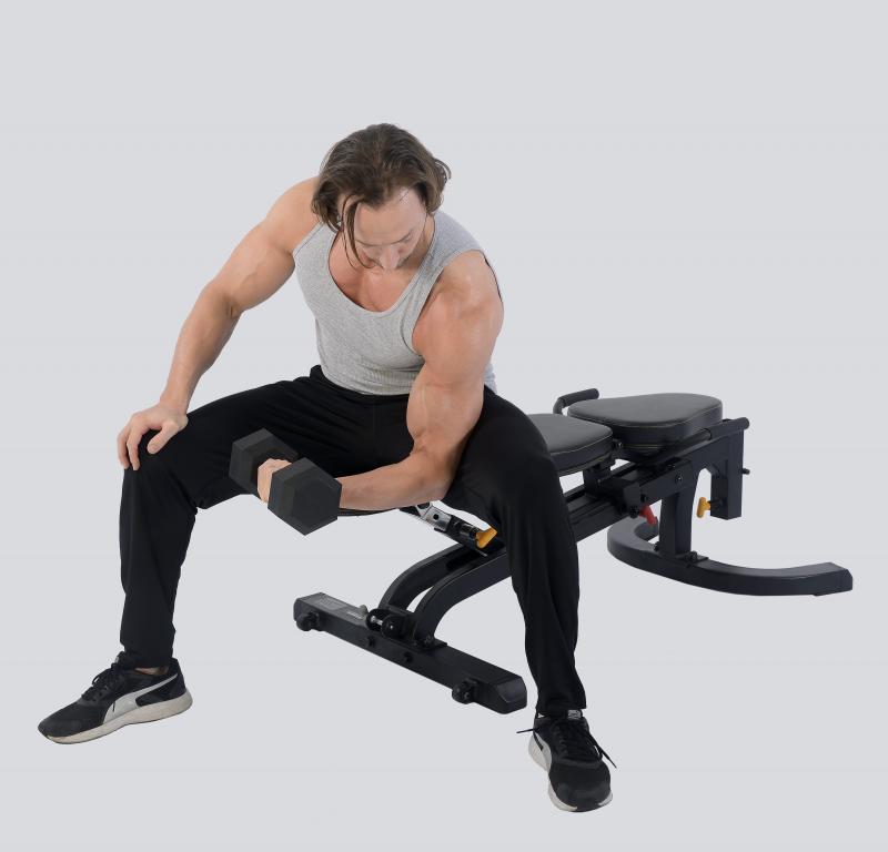 Is the Powertec Workbench Olympic Bench Worth It in 2023