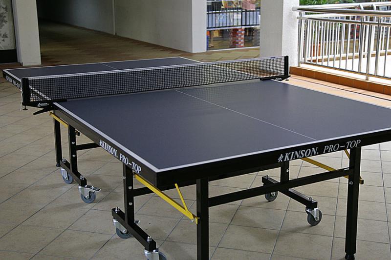 Is The Prince Odyssey The Best Outdoor Ping Pong Table. 7 Reasons It