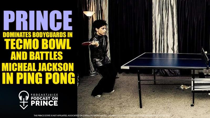 Is The Prince Odyssey The Best Outdoor Ping Pong Table. 7 Reasons It