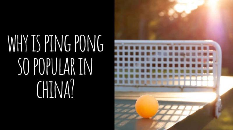 Is The Prince Odyssey The Best Outdoor Ping Pong Table. 7 Reasons It