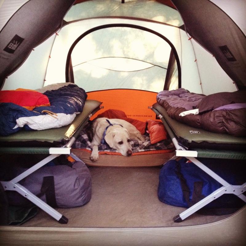Is This $99 Cot The Most Comfortable for Camping Trips: Sleep Better Outdoors With the Quest Camp Cot
