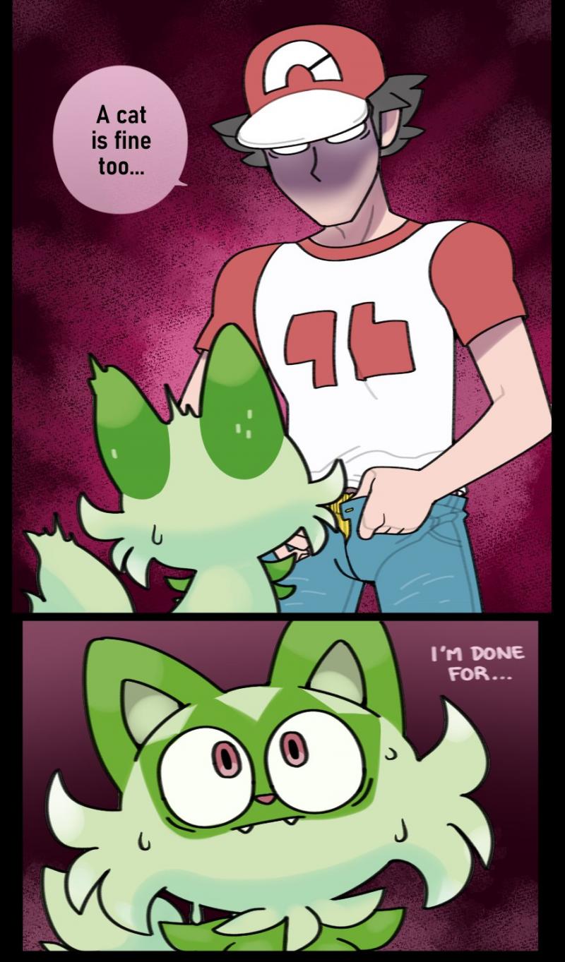 Is This Bat Too Much For A Tiny Cat: The Epic Saga Of Marucci