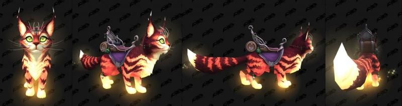 Is This Bat Too Much For A Tiny Cat: The Epic Saga Of Marucci