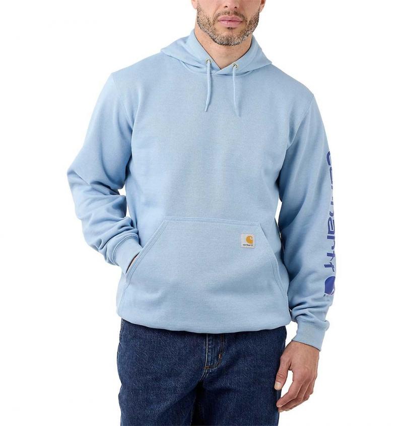 Is This Hoodie Worth Buying in 2023: The Carhartt K288 Workwear Hoodie Reviewed
