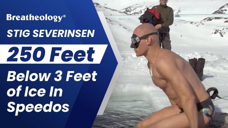 Is This Speedo Bullet Head Snorkel Worth It: Key Facts You Need To Know