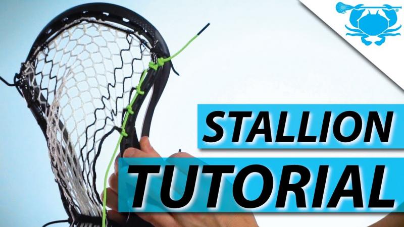 Is This the Best Lacrosse Head for Accuracy: Stallion Omega’s Revolutionary Design