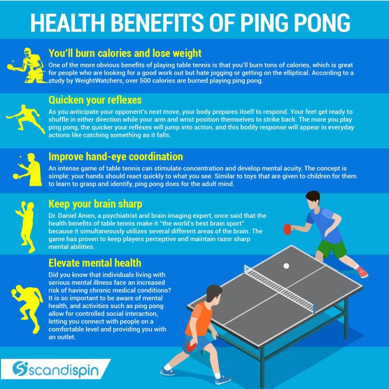Is This The Best Ping Pong Table Website: Discover Everything Prince Table Tennis Offers