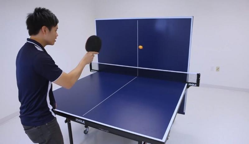 Is This The Best Ping Pong Table Website: Discover Everything Prince Table Tennis Offers