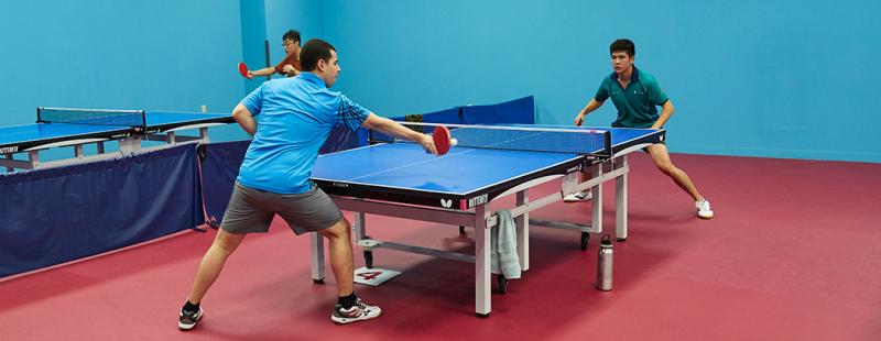 Is This The Best Ping Pong Table Website: Discover Everything Prince Table Tennis Offers