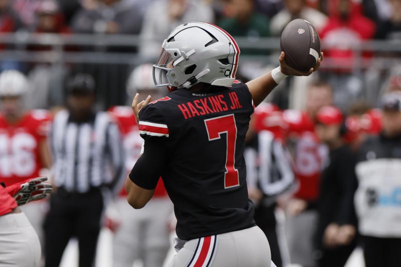 Is This The Ultimate Ohio State Fan