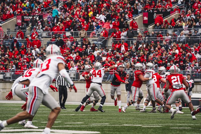 Is This The Ultimate Ohio State Fan
