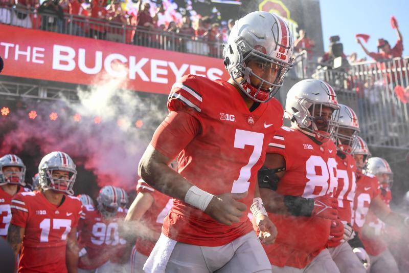 Is This The Ultimate Ohio State Fan