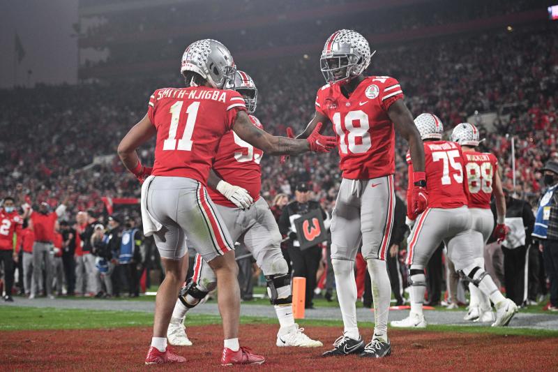 Is This The Ultimate Ohio State Fan
