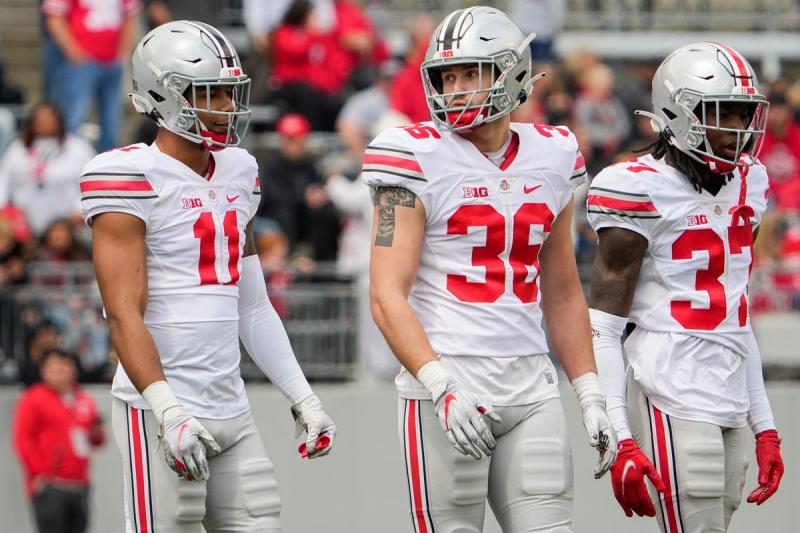 Is This The Ultimate Ohio State Fan