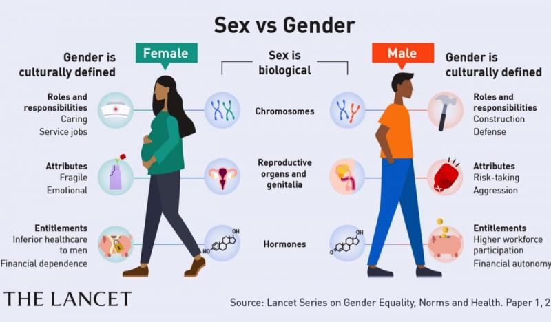 Is Usabox Secretly Targeting Rural Women. The Truth About Their Controversial Business