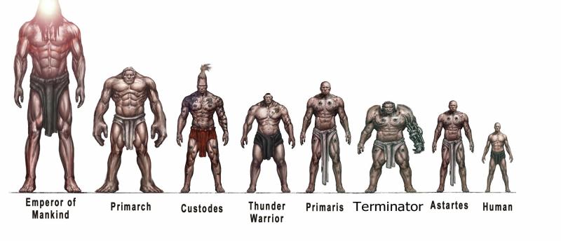 Is Warrior Regulator Max Good for You. The 15 Most Important Things to Know