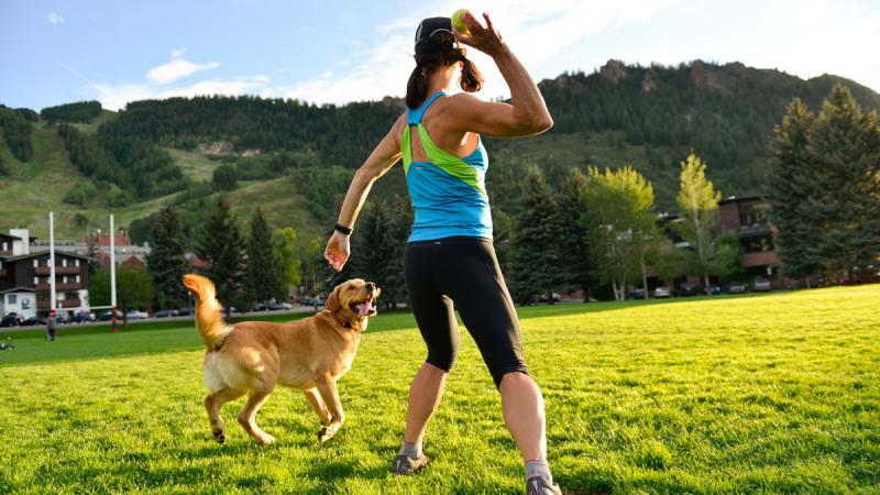 Is Your Dog Ready for the Big City Life: How to Help Your Pup Thrive in LA