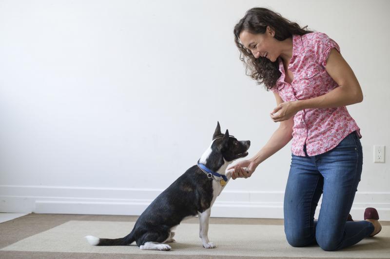 Is Your Dog’s Leash Holding Them Back: Discover How To Unleash Freedom For Your Furry Friend