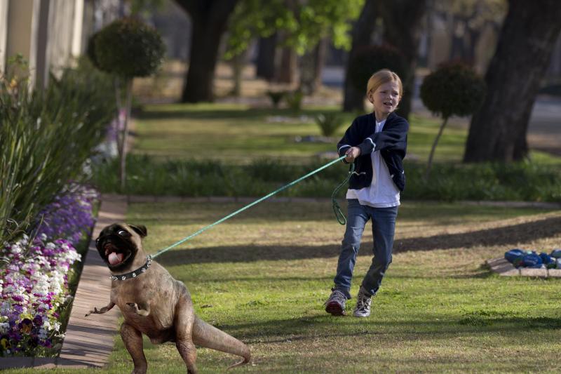 Is Your Dog’s Leash Holding Them Back: Discover How To Unleash Freedom For Your Furry Friend