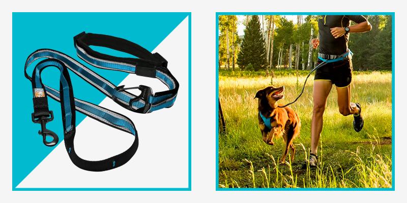 Is Your Dog’s Leash Holding Them Back: Discover How To Unleash Freedom For Your Furry Friend
