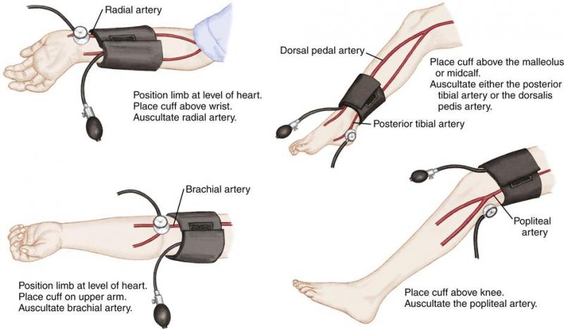Is Your Lacrosse Arm Protection Up to Snuff. The Top 15 Forearm and Elbow Pads to Dominate in 2023
