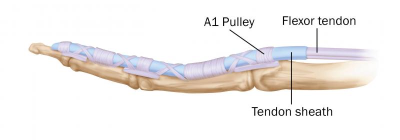 Is Your Lacrosse Arm Protection Up to Snuff. The Top 15 Forearm and Elbow Pads to Dominate in 2023
