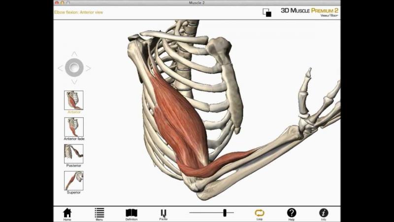 Is Your Lacrosse Arm Protection Up to Snuff. The Top 15 Forearm and Elbow Pads to Dominate in 2023