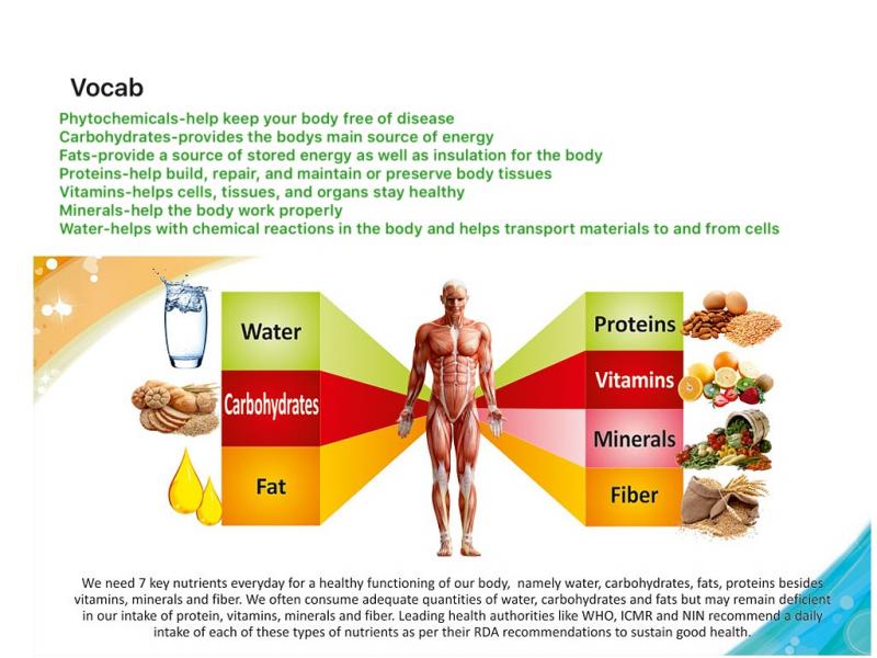 Is Your Lacrosse Diet Missing These Crucial Nutrition and Hydration Strategies. Optimize Performance Now