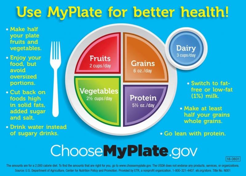 Is Your Lacrosse Diet Missing These Crucial Nutrition and Hydration Strategies. Optimize Performance Now