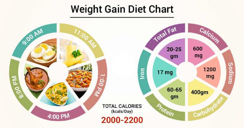 Is Your Lacrosse Diet Missing These Crucial Nutrition and Hydration Strategies. Optimize Performance Now
