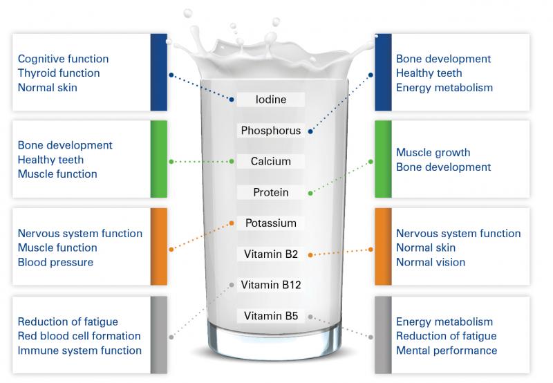 Is Your Lacrosse Diet Missing These Crucial Nutrition and Hydration Strategies. Optimize Performance Now