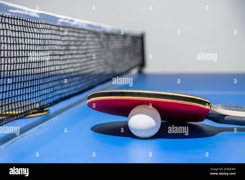 Is Your Ping Pong Table Net Worn Out: Restore Your Game with These 15 Prince Table Tennis Net Buying Tips