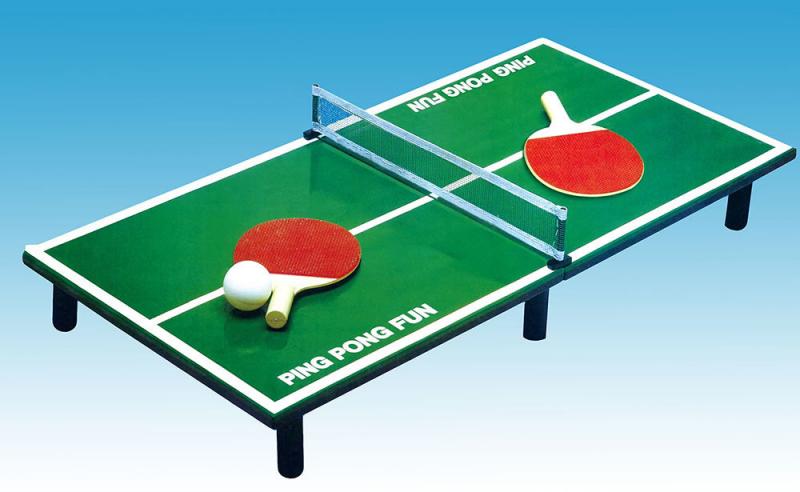 Is Your Ping Pong Table Net Worn Out: Restore Your Game with These 15 Prince Table Tennis Net Buying Tips