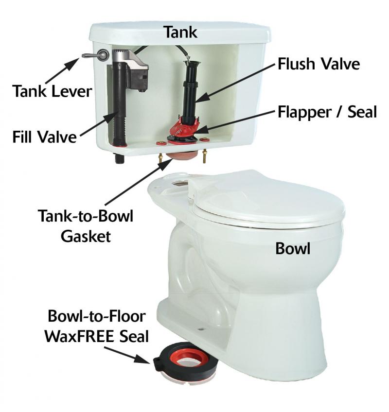 Is Your Toilet Too Slow to Flush. : Here