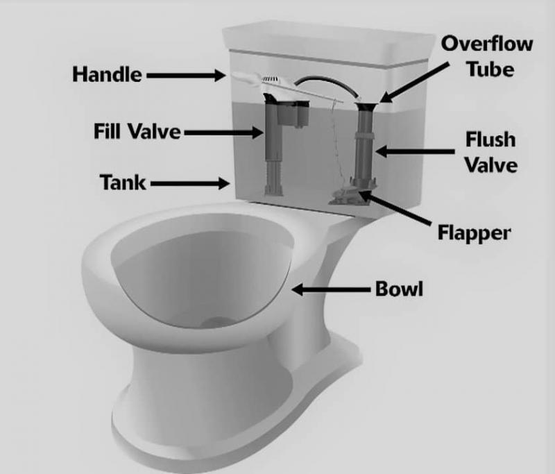 Is Your Toilet Too Slow to Flush. : Here