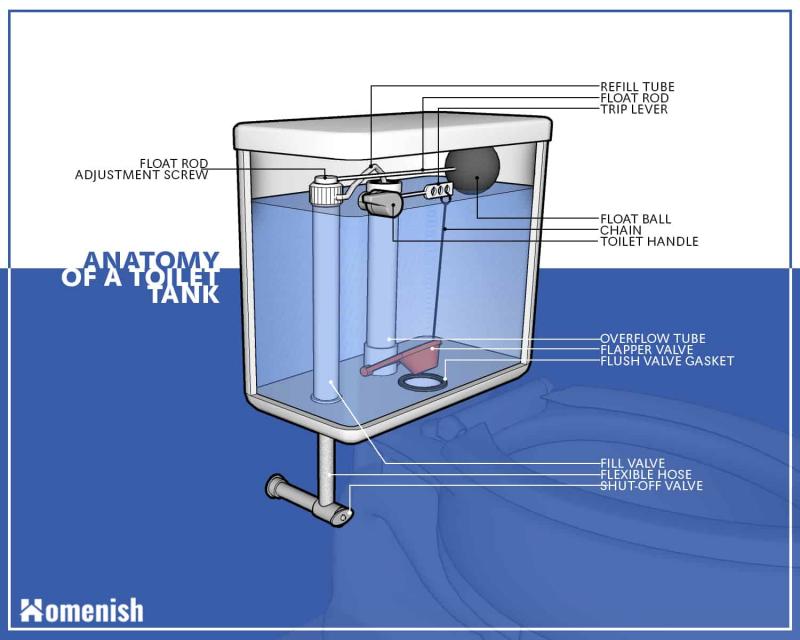 Is Your Toilet Too Slow to Flush. : Here